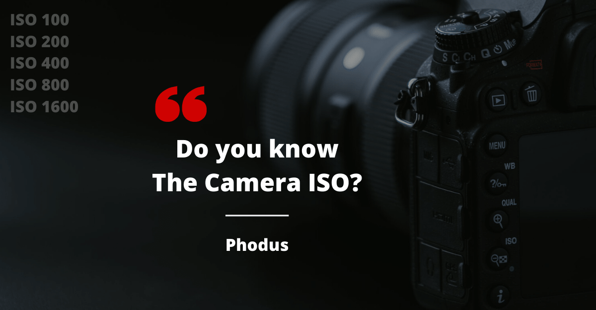 What is Camera ISO in Photography?