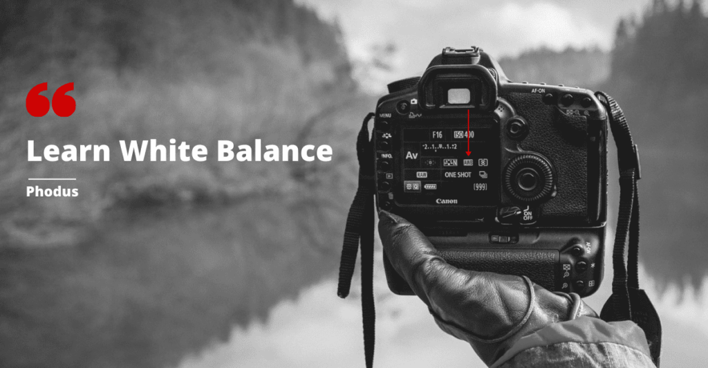 what is white balance?